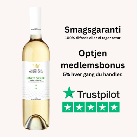 Cantine Ermes Marchese Montefusco Pinot Grigio Terre Siciliane IGP 2023 75 cl.