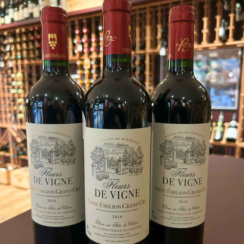 Fleurs de Vigne Saint Emilion Grand Cru 2016 75 cl.