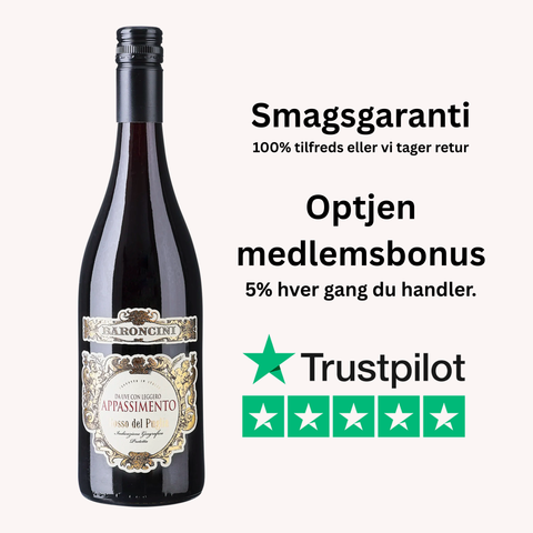 Baroncini Leggero Appassimento Rosso Puglia IGP 2022, 14%, 75 cl.