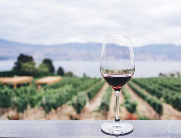 Red Wine glass, Photo by Kym Ellis